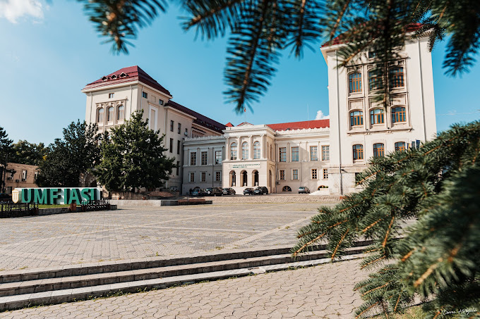 Read more about the article University of Medicine and Pharmacy of Lași