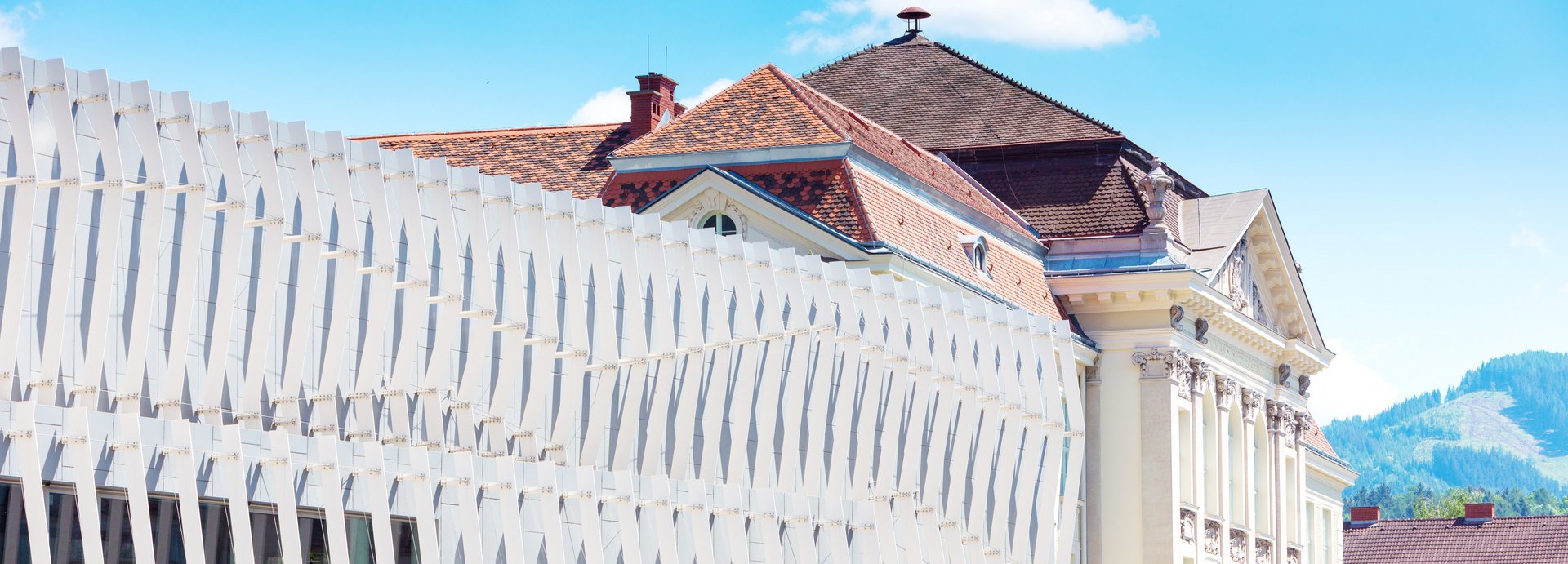 Read more about the article University of Leoben